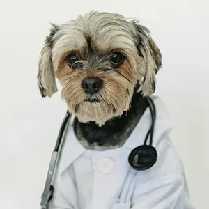 Dr. Melinda Ertel